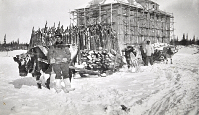 Man in the winter leading a cow and sled