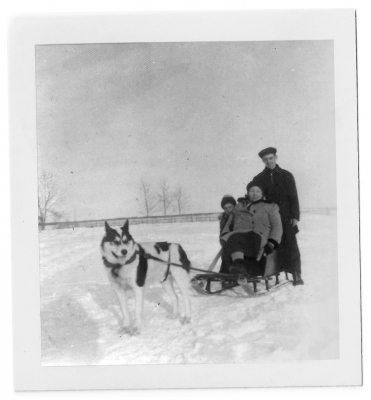 Huskies and sleighs in Moose Factory