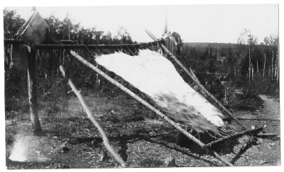 Animal hide stretched out on a frame